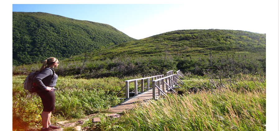 Open Learn by Open University