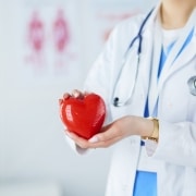 Healthcare professional holding a model heart