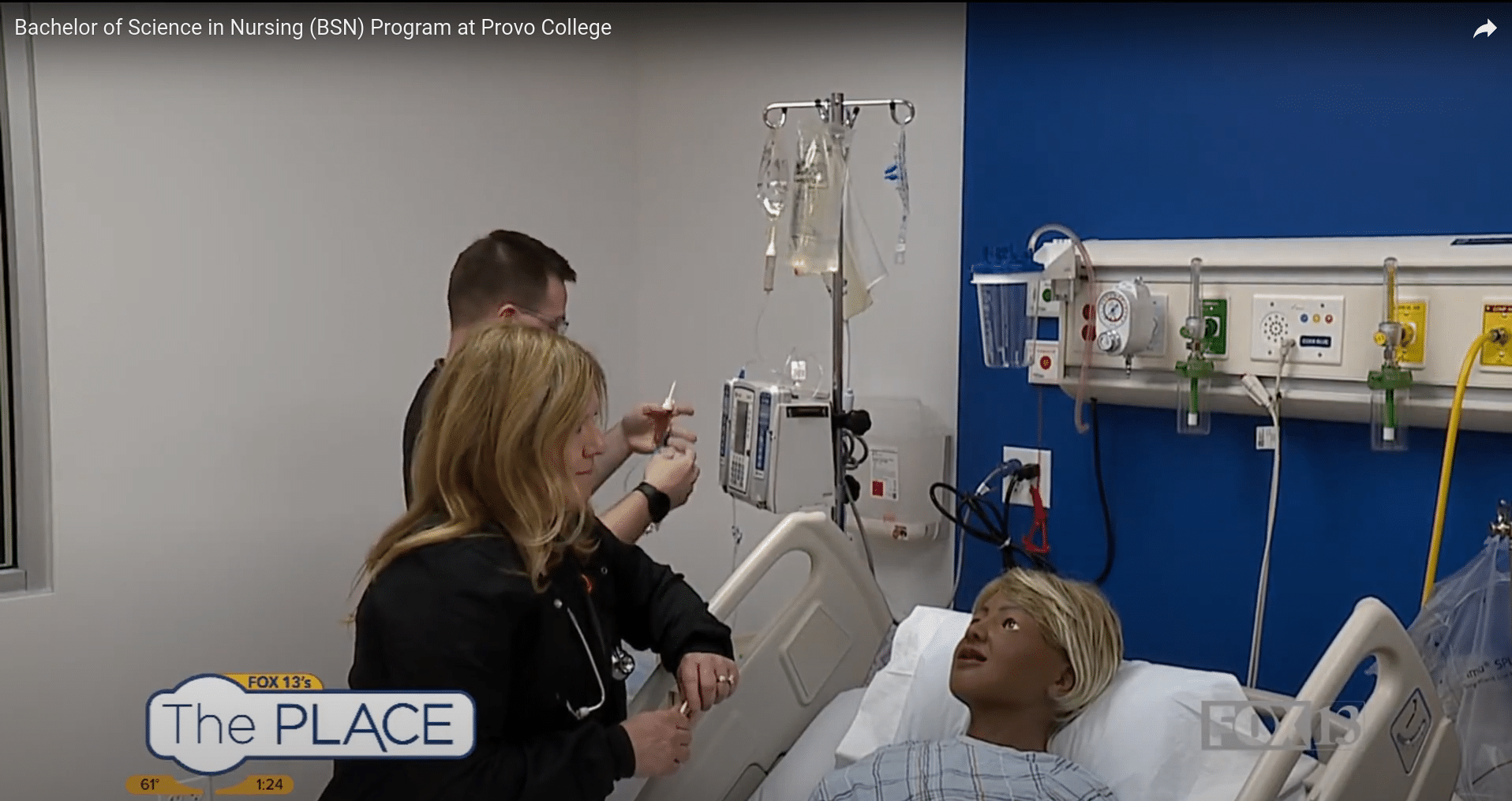 Bachelor of Science in Nursing (BSN) Program at Provo College - Provo  College