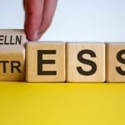 Close up of a hand holding blocks that say wellness and stress